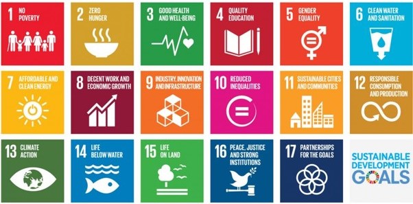 The 17 SDGs